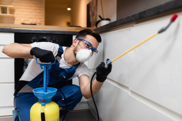 Best Emergency Pest Control  in Larkspur, CA