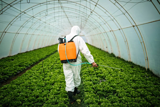 Best Affordable Pest Control Services  in Larkspur, CA