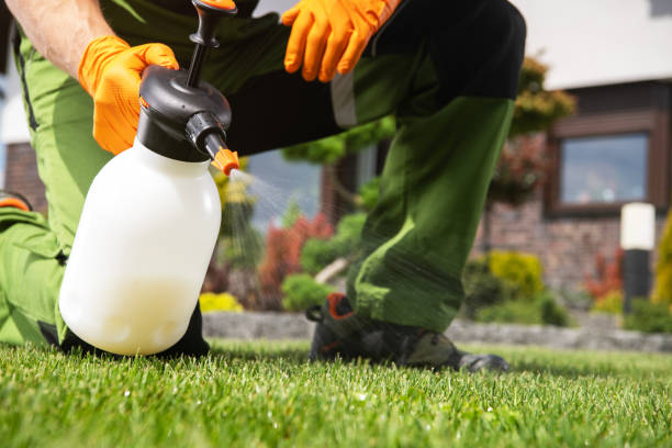 Best Residential Pest Control  in Larkspur, CA
