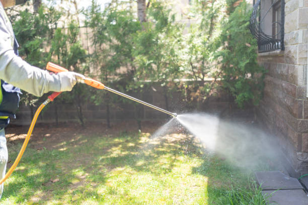 Best Flea Control Services  in Larkspur, CA