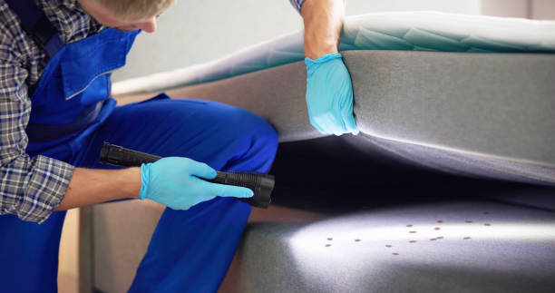 Best Local Pest Control Services  in Larkspur, CA