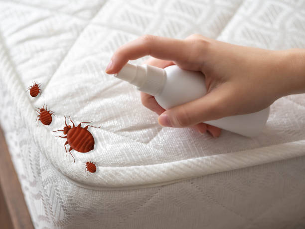 Best Emergency Pest Control  in Larkspur, CA