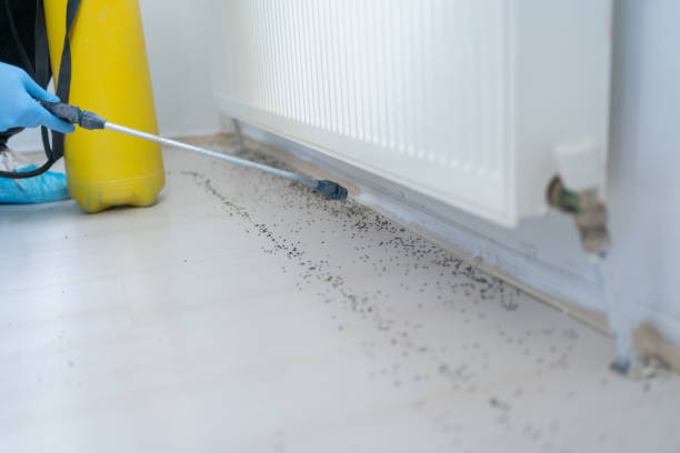 Best Bed Bug Extermination  in Larkspur, CA